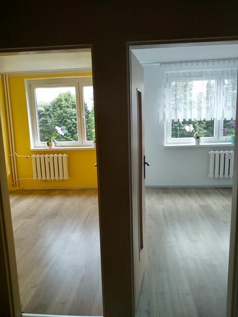 MIESZKANIE M5 DO WYNAJĘCIA W RYBNIKU