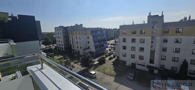 Mieszkanie do wynajęcia, Nowy Świat