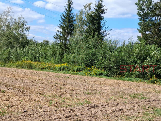 Działka siedliskowa Kotorydz gm. Tarczyn,