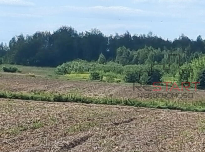 Działka siedliskowa Kotorydz gm. Tarczyn,