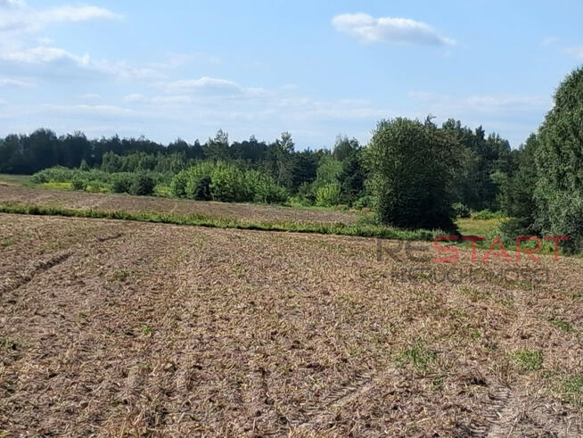 Działka siedliskowa Kotorydz gm. Tarczyn,