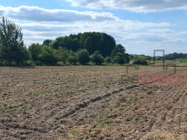 Działka siedliskowa Kotorydz gm. Tarczyn,