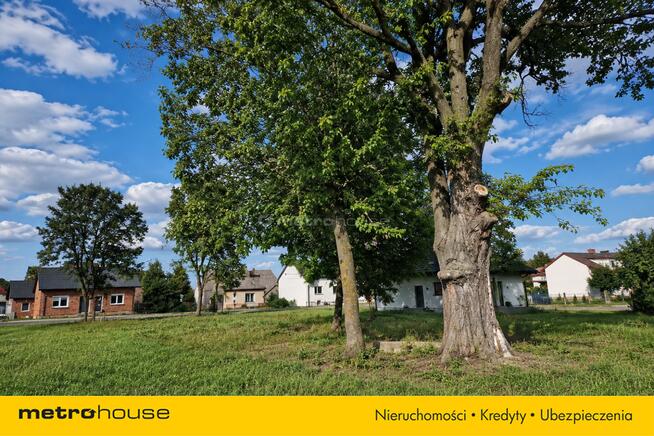 KRĘŻCE 2,40 ha Z WARUNKAMI ZABUDOWY!