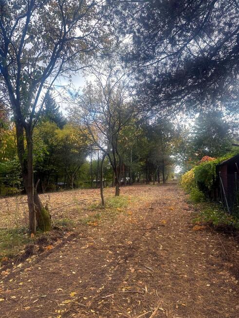 Budowlana nad rzeką Świder 30min z W-wy trasą S17