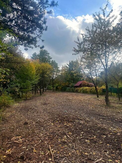 Budowlana nad rzeką Świder 30min z W-wy trasą S17