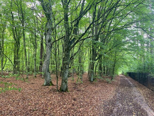 Budowlana nad rzeką Świder 30min z W-wy trasą S17