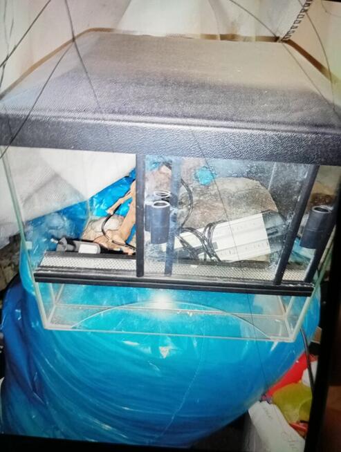 Terrarium akwarium