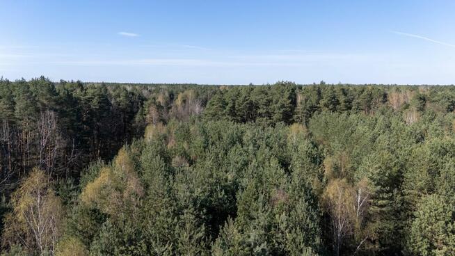 Działka rolna Zendek gm. Ożarowice,