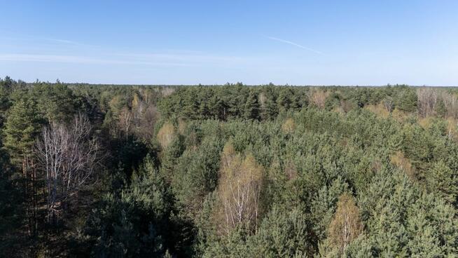 Działka rolna Zendek gm. Ożarowice,