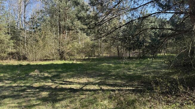 Działka rolna Zendek gm. Ożarowice,