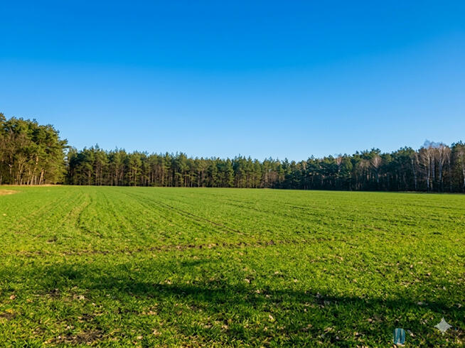 Działka inwestycyjna Śródborze gm. Baboszewo,