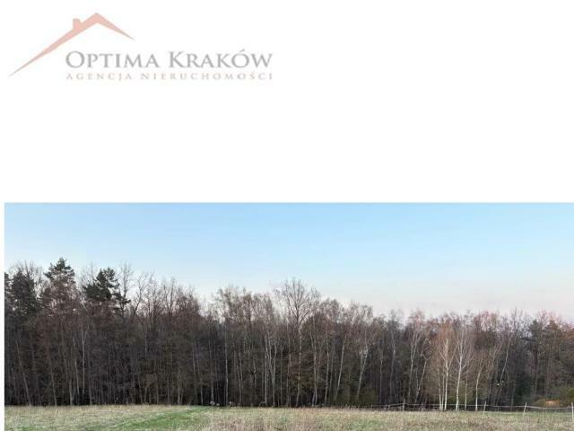 Działka rolno-budowlana Głogoczów gm. Myślenice