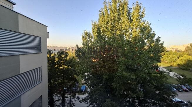 Okolice ul. Skrzydlatej