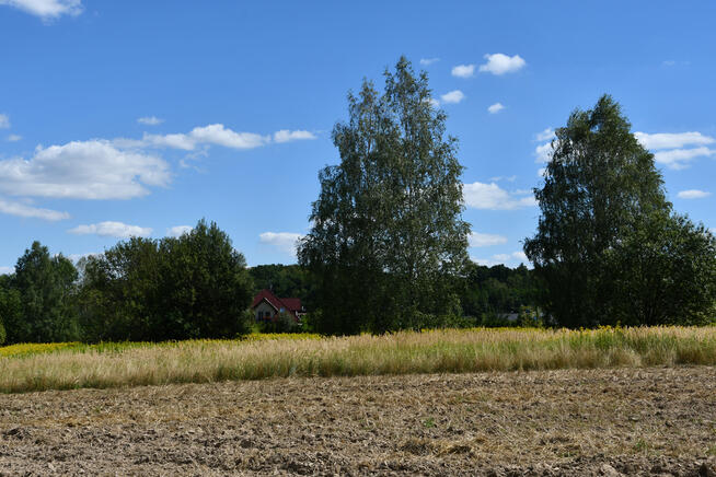 Działka rolna 43a - Strażów