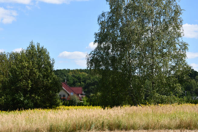 Działka rolna 43a - Strażów