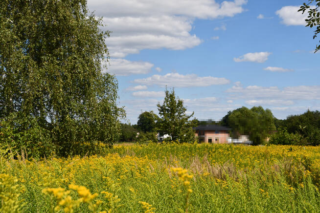 Działka rolna 43a - Strażów