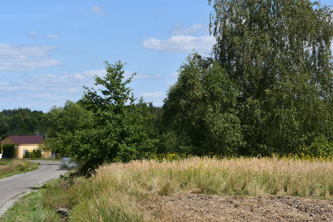 Działka rolna 43a - Strażów