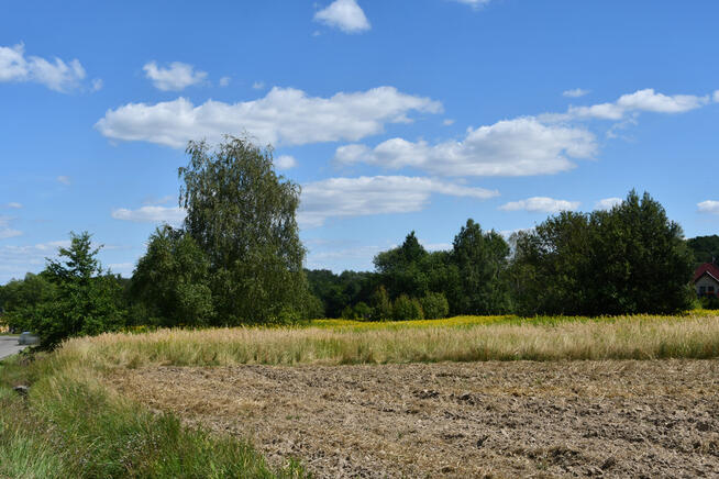 Działka rolna 43a - Strażów