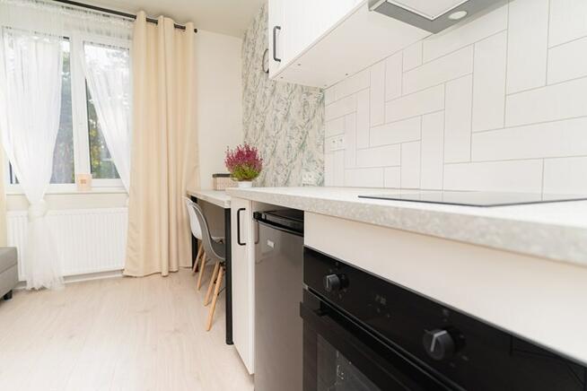 Mini kawalerka, pet-friendly- Płatnerska 61