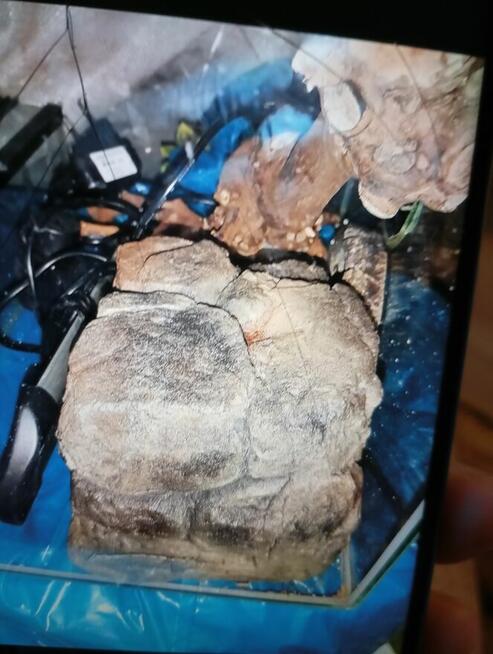 Terrarium akwarium
