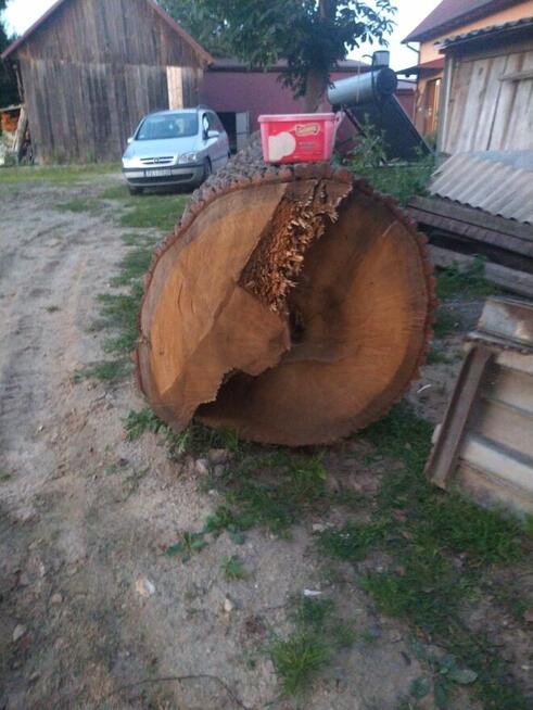 Sprzedam Dęba