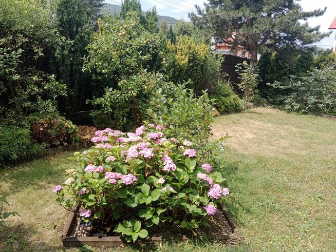 WYNAJEM MIESZKANIA 3 POKOJE W DOMU WOLNOSTOJĄCYM ZE STRYCHEM