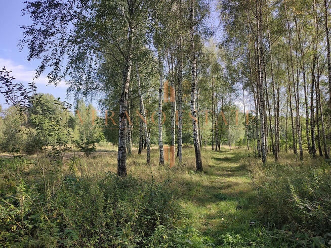 DZIAŁKA ROLNA/INWESTYCYJNA| 6,58HA |BLISKO JEZIORA