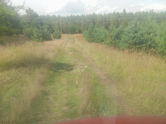 Działka 3003 m2
