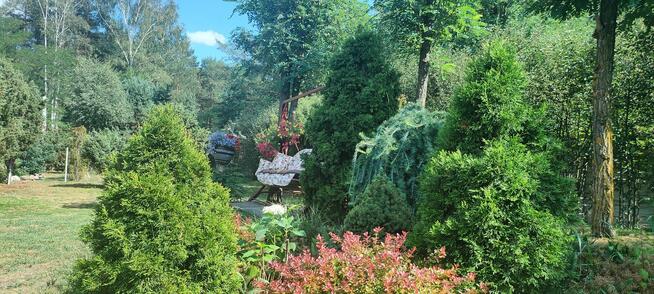 UROKLIWY DOM NA SPRZEDAŻ