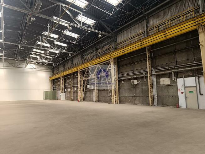 Lokal użytkowy Warszawa Bielany, Wólczyńska