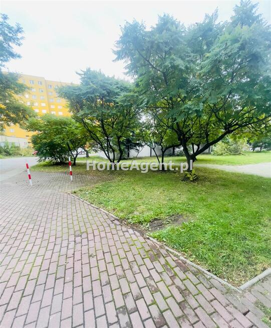 Lokal użytkowy Siemianowice Śląskie