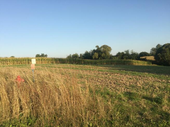 Działka budowlana Golęczewo gm. Suchy Las, Malinowa