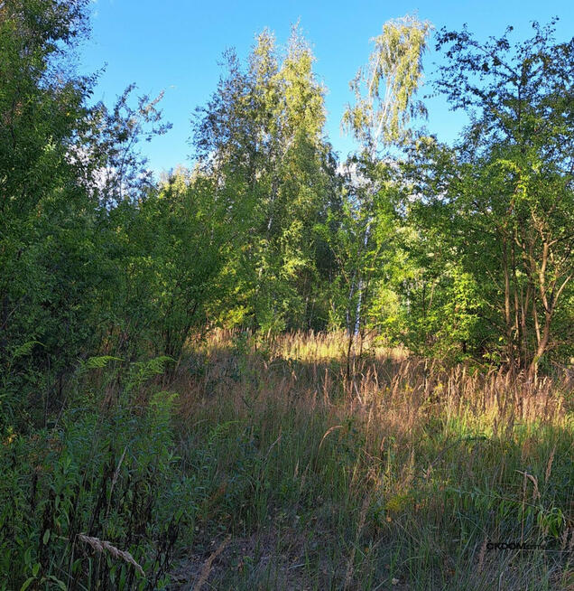 Atrakcyjna działka budowlana