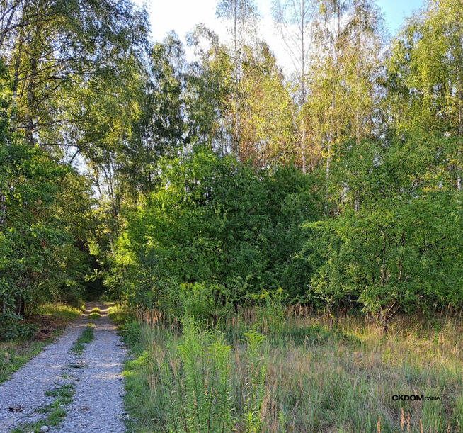 Atrakcyjna działka budowlana