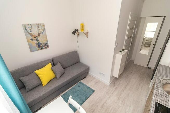 Narutowicza 56 C, studio w centrum, pet-friendly