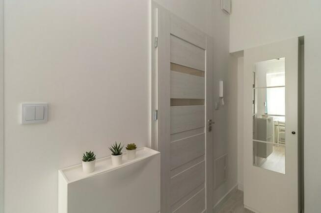 Narutowicza 56 C, studio w centrum, pet-friendly