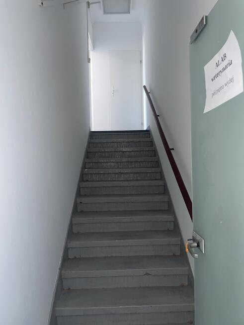 Do wynajęcia lokal biurowy –36,5 m2