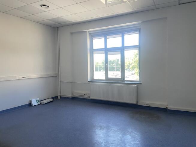 Do wynajęcia lokal biurowy –36,5 m2