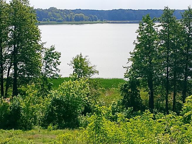 Jadwisin działki budowlane od 1200 do 7000 mkw