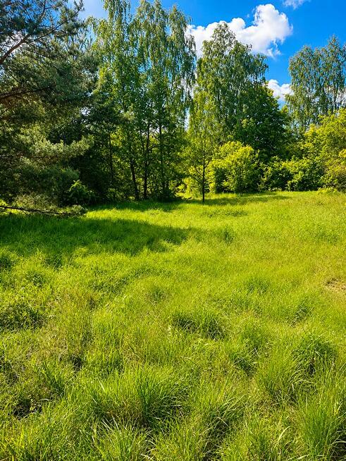 Działka budowlana 1233 m² | 10 min od Sokołowa | 95 000 zł