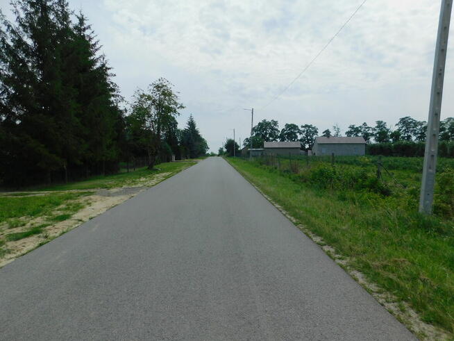 Syndyk sprzeda - Rykały