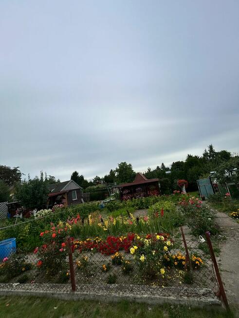 Sprzedam