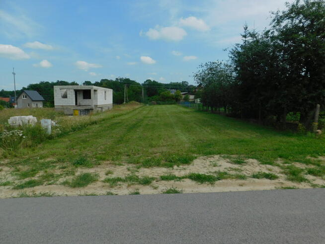 Syndyk sprzeda - Rykały