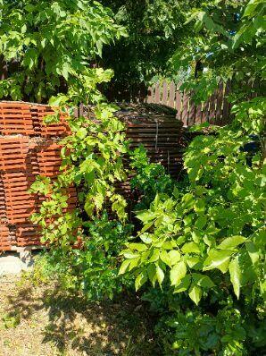 Sprzedam dachówkę ceramiczną Creaton Marsylka (glazura)