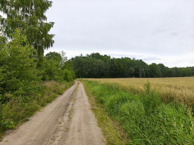 Grunt blisko morza od 29.000zł