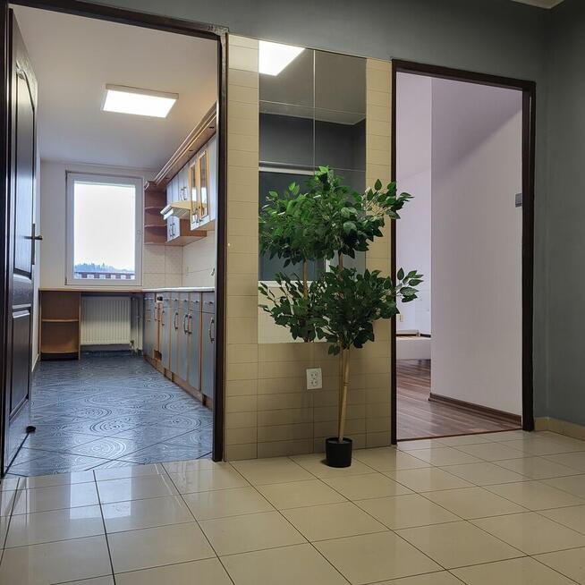 Do wynajęcia mieszkanie 60m2