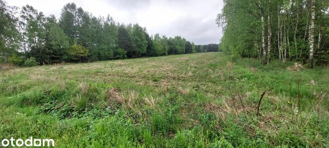Działki z WZ + media | Wola Radłowska | 840–2250 m²