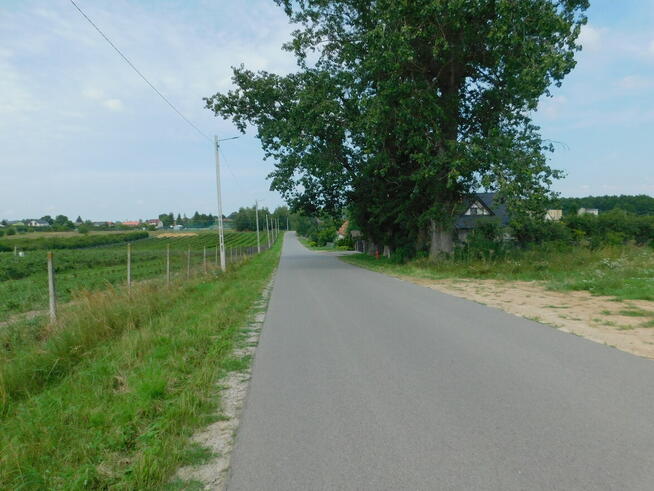 Syndyk sprzeda - Rykały