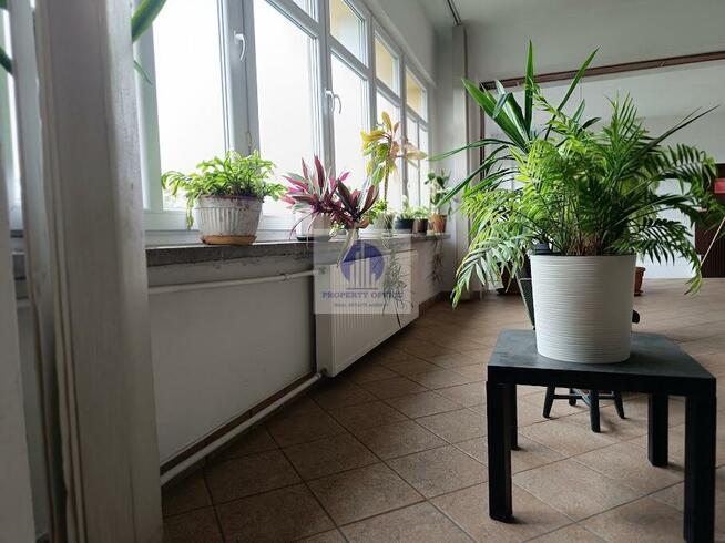Lokal użytkowy Warszawa Wawer, Anin, Kazimierza Szpotańskiego