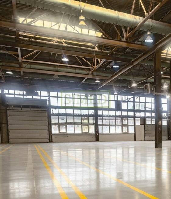 Ogrzewany,wysoki magazyn,dojazd TIR,parking,24 h